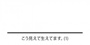<?php the_title(); ?>