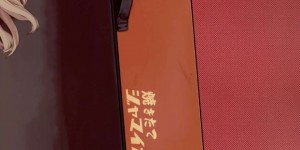 【エロ同人誌】(C94)2名で予約したホテルにチェックインした西住みほ…大きなスーツケースの中で全裸目隠し拘束されていた島田愛里寿は部屋に入るなり西住みほのふたなりチンポをおねだり！【焼きたてジャマイカ (あおむし)：ちんぽやくざみぽりん ボコマゾ愛里寿ちゃん編/ガールズ&パンツァー】