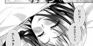 同棲することになり全裸で一緒にお風呂入ってくる無垢な巨乳JKの妹…理性が崩壊した兄に襲われパイズリさせたり近親相姦セックスで妹の処女まんこに中出ししちゃう！